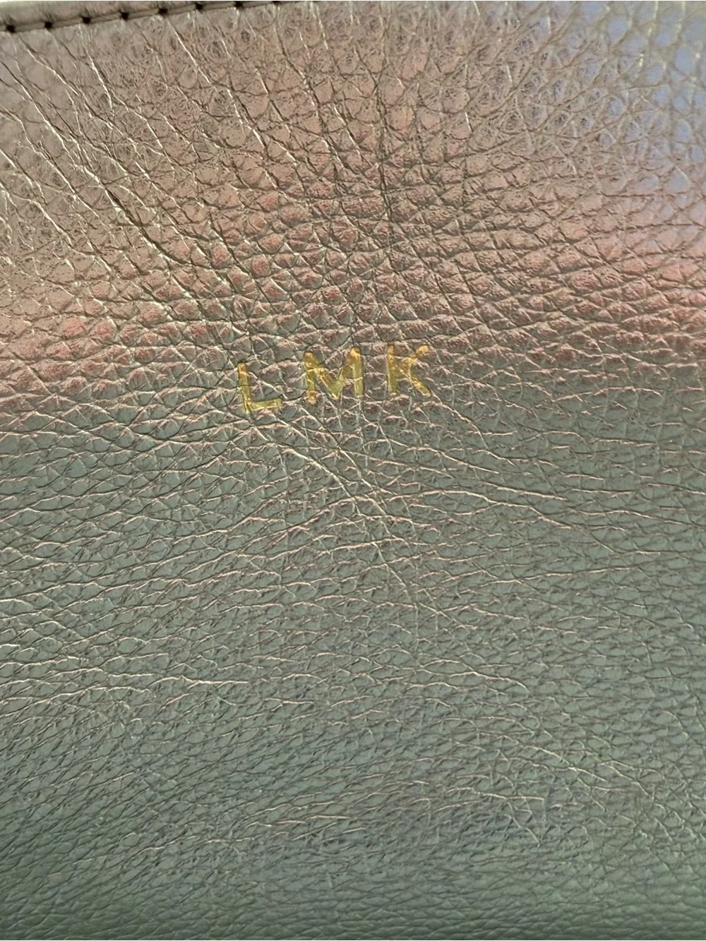 Cuyana Shimmer Metallic Pebbled Leather Tech Organizer Case Bag Monogram LMK